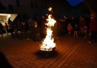 Bild-7