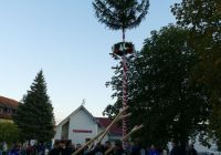 Do-10