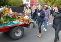 Bild-18