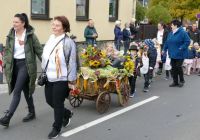 Bild-24