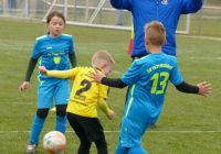 Bild-19