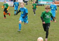 Bild-20